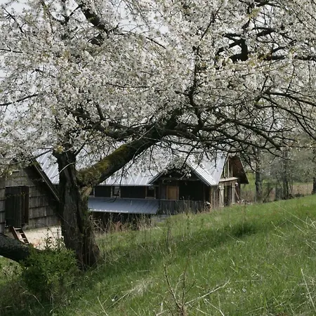 Artystyka Vakantieboerderij