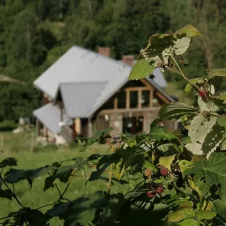 Artystyka * Bystrzyca Kłodzka