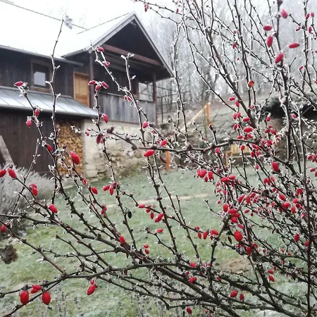 Artystyka Vakantieboerderij Bystrzyca Kłodzka