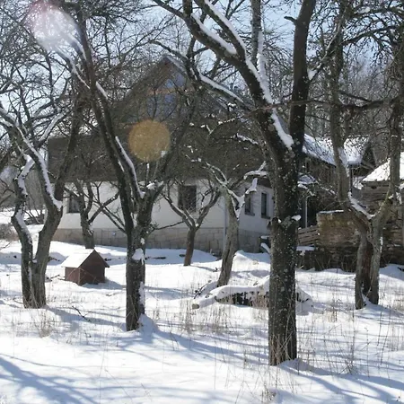 Artystyka Vakantieboerderij *